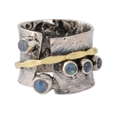 Silver Spinner single Labradorite